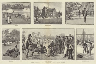 Os pulmões de Londres, Regent&39;s Park de William Douglas Almond